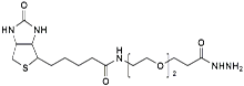 (+)-Biotin-PEG<sub>2</sub>-Hydrazide