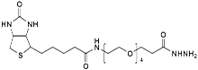 (+)-Biotin-PEG<sub>4</sub>-Hydrazide