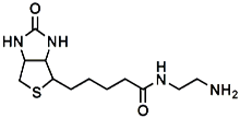 (+)-Biotin-CH<sub>2</sub>CH<sub>2</sub>NH<sub>2</sub>