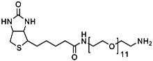 (+)-Biotin-PEG<sub>11</sub>-CH<sub>2</sub>CH<sub>2</sub>NH<sub>2</sub>