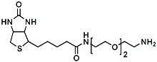 (+)-Biotin-PEG<sub>2</sub>-CH<sub>2</sub>CH<sub>2</sub>NH<sub>2</sub>