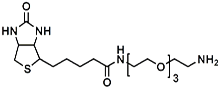 (+)-Biotin-PEG<sub>3</sub>-CH</sub>2</sub>CH<sub>2</sub>NH<sub>2</sub>