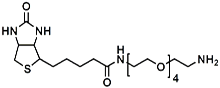 (+)-Biotin-PEG<sub>4</sub>-CH<sub>2</sub>CH<sub>2</sub>NH<sub>2</sub>