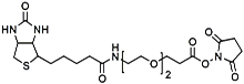 (+)-Biotin-PEG<sub>2</sub>-NHS Ester