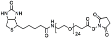 (+)-Biotin-PEG<sub>24</sub>-NHS Ester