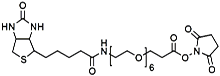 (+)-Biotin-PEG<sub>6</sub>-NHS Ester