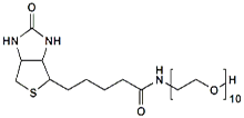 (+)-Biotin-PEG<sub>10</sub>-OH