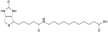 Picture of (+)-Biotin-SLC