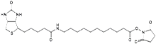 Picture of (+)-Biotin-SLC-NHS Ester