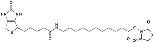 Picture of (+)-Biotin-SLC-NHS Ester