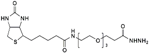 Picture of (+)-Biotin-PEG<sub>3</sub>-Hydrazide