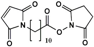 Picture of Maleimide-(CH<sub>2</sub>)<sub>10</sub>-COONHS