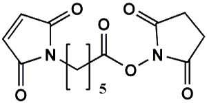 Picture of Maleimide-(CH<sub>2</sub>)<sub>5</sub>-COONHS