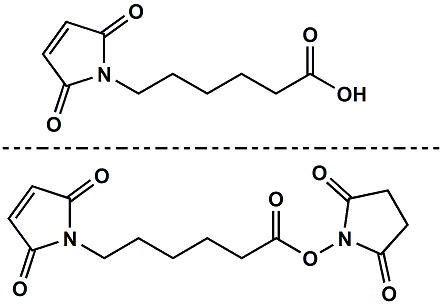 Picture for category Hydrophobic Linkers