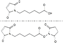 Picture for category Hydrophobic Linkers