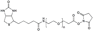 Picture of Biotin-PEG-NHS