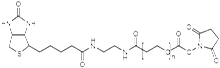 Picture of Biotin-PEG-SCM