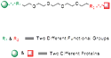 Picture for category Heterobifunctional PEG Linkers