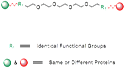 Picture for category Homobifunctional PEG Linkers