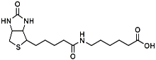 Picture of (+)-Biotin-LC