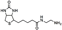 Picture of (+)-Biotin-CH<sub>2</sub>CH<sub>2</sub>NH<sub>2</sub>