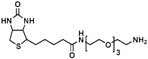 Picture of (+)-Biotin-PEG<sub>3</sub>-CH</sub>2</sub>CH<sub>2</sub>NH<sub>2</sub>