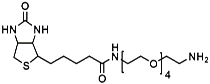 Picture of (+)-Biotin-PEG<sub>4</sub>-CH<sub>2</sub>CH<sub>2</sub>NH<sub>2</sub>