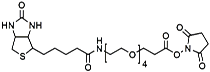 Picture of (+)-Biotin-PEG<sub>4</sub>-NHS Ester