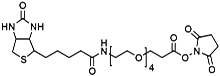 Picture of (+)-Biotin-PEG<sub>4</sub>-NHS Ester