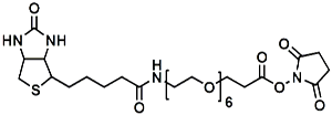 Picture of (+)-Biotin-PEG<sub>6</sub>-NHS Ester