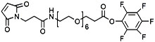 Picture of Maleimide-NH-PEG<sub>6</sub>-CH<sub>2</sub>CH<sub>2</sub>COOPFP Ester