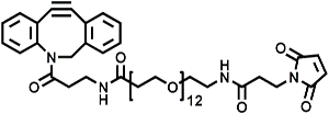 Picture of DBCO-NH-PEG<sub>12</sub>-Maleimide