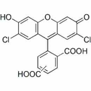 Picture of 5(6)-carboxyl-2’,7’-dichlorofluorescein