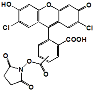 Picture of 5(6)-Carboxy-2',7'-dichlorofluorescein diacetate, SE