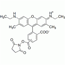 Picture of 5(6)-CR6G, SE