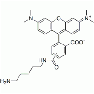 Picture of 5(6)-TAMRA cadaverine