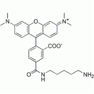 Picture of 5-TAMRA cadaverine