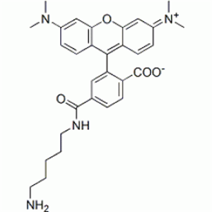 Picture of 6-TAMRA cadaverine