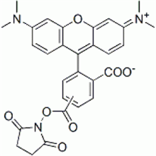 Picture of 5(6)-TAMRA, SE