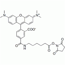 Picture of 5-TAMRA-X, SE