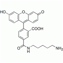 Picture of 5-FAM cadaverine