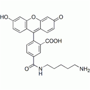 Picture of 5-FAM cadaverine