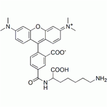 Picture of 5-FAM lysine