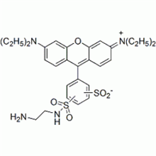 Picture of Lissamine Rhodamine B Ethylenediamine