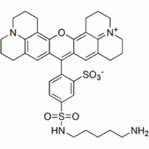 Picture of Sulforhodamine 101 cadaverine