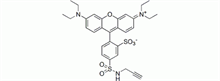 Picture of Sulforhodamine B alkyne