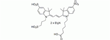 Picture of Cy3 carboxylic acid, trisulfo