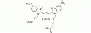 Picture of Cy3 carboxylic acid, trisulfo