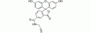 Picture of 5-FAM Alkyne