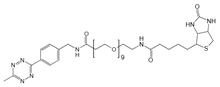 Picture of Methyltetrazine-amino-PEG<sub>9</sub>-Biotin